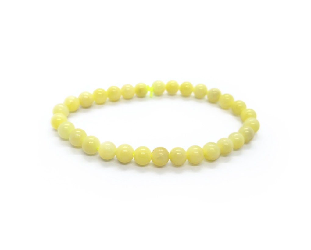 Baby Tridacna  Bracelet