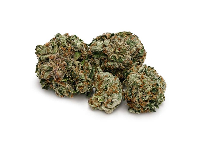 Pink Kush / 7g / Indica