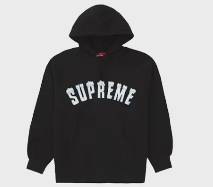 Supreme Icy Arc Hooded Sweatshirt • Brand New [5227]
