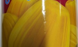 Twin Elephant Jackfruit In Syrup 565g