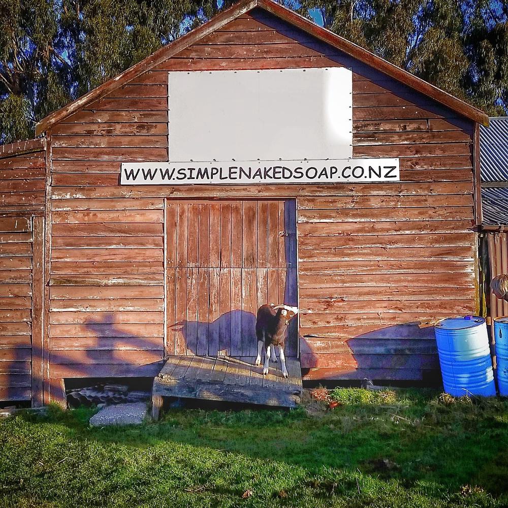 GOATS MILK SHAMPOO BAR - BEER