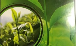 Damro labookellie Melfort Green Tea wt Camomile Bags 37.5g