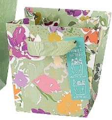 Artebene - Plant Gift Bag