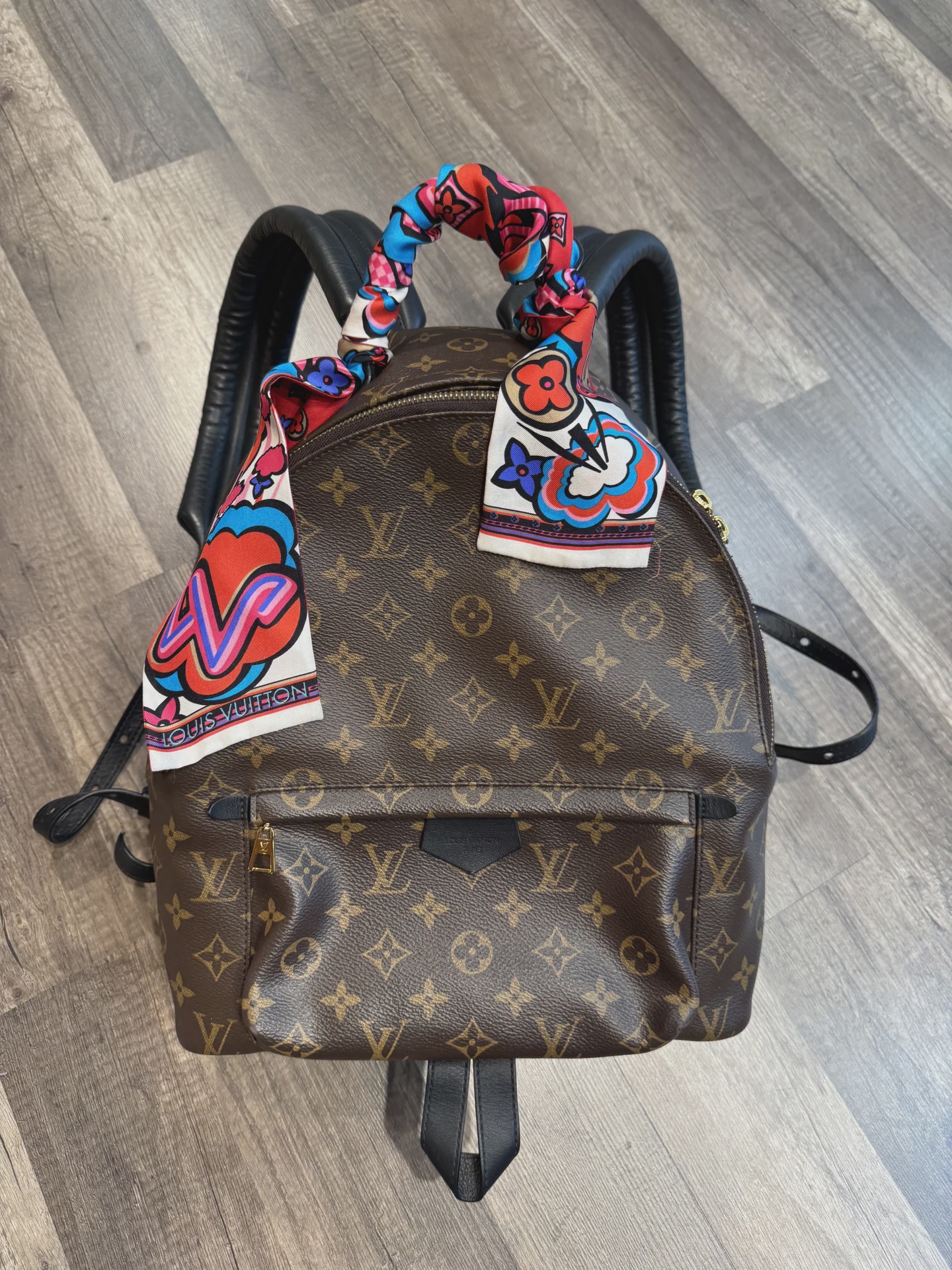 Louis Vuitton Louis Vuitton Backpack - Size One Size