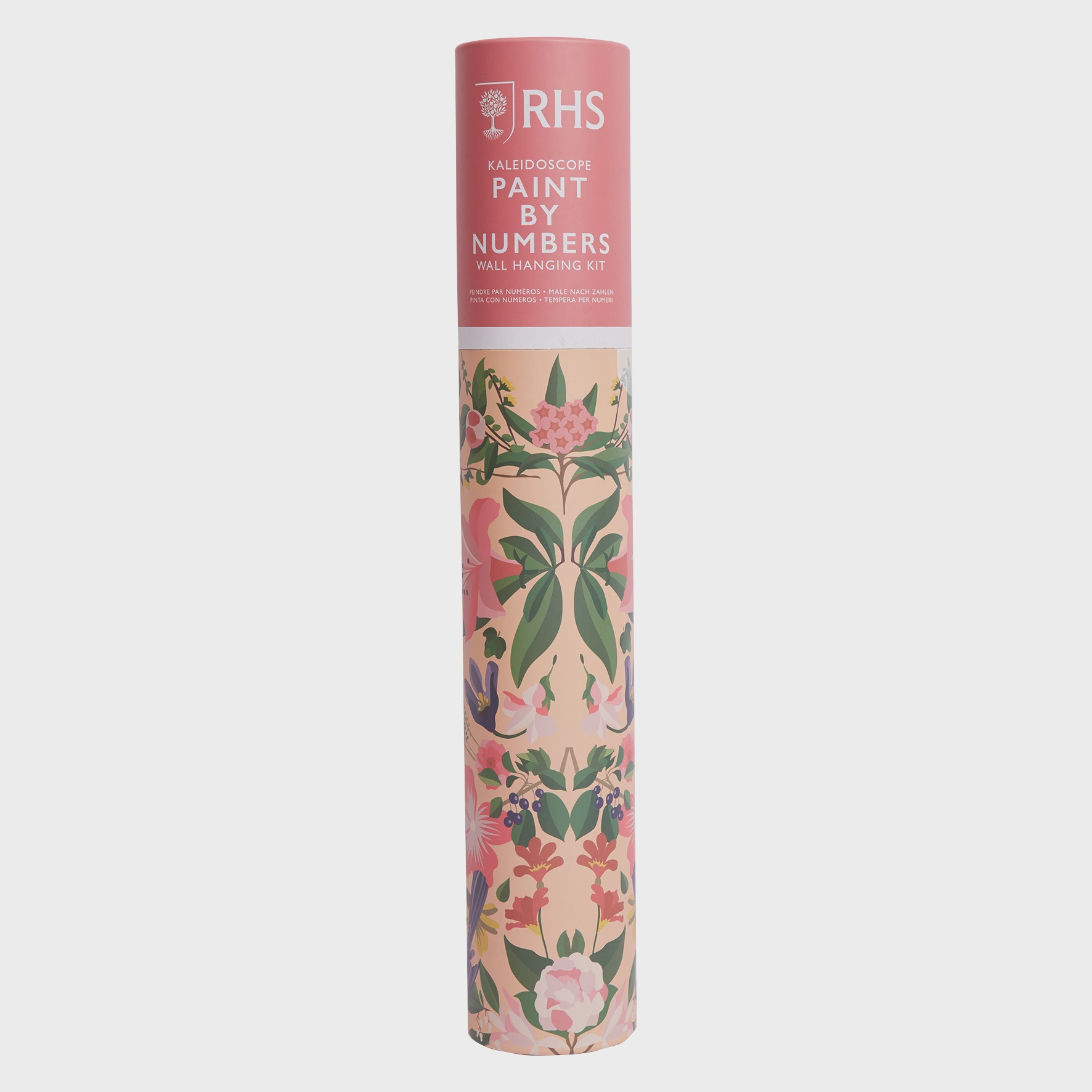 RHS Paint by Numbers Hanging Kit