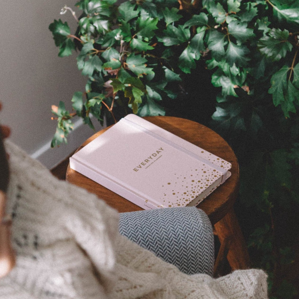 FRANK EVERYDAY UNDATED PLANNER - BLUSH