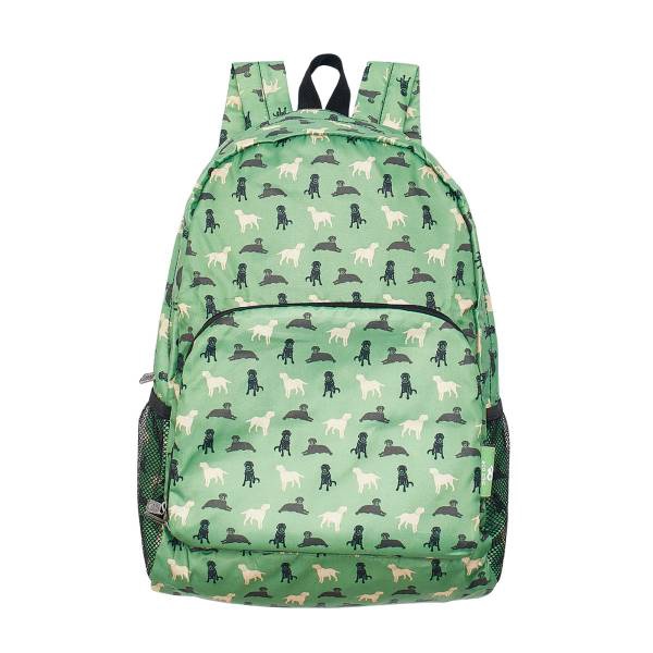 Recycled Foldable Backpack