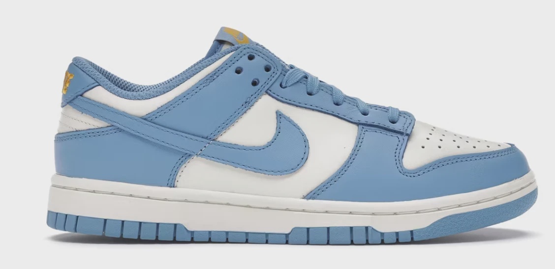 Nike Dunk Low Coast (Women's) • Brand New [4988]