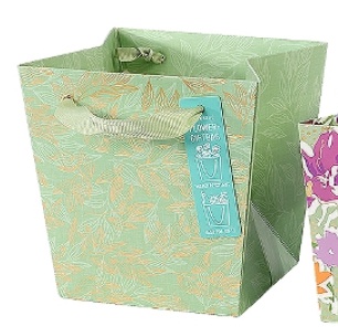 Artebene - Plant Gift Bag
