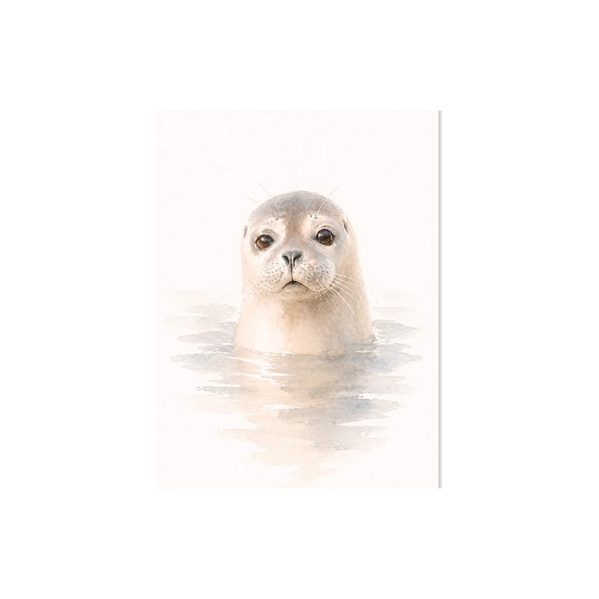 Plek kaartje wit · Zeehond — foto 1