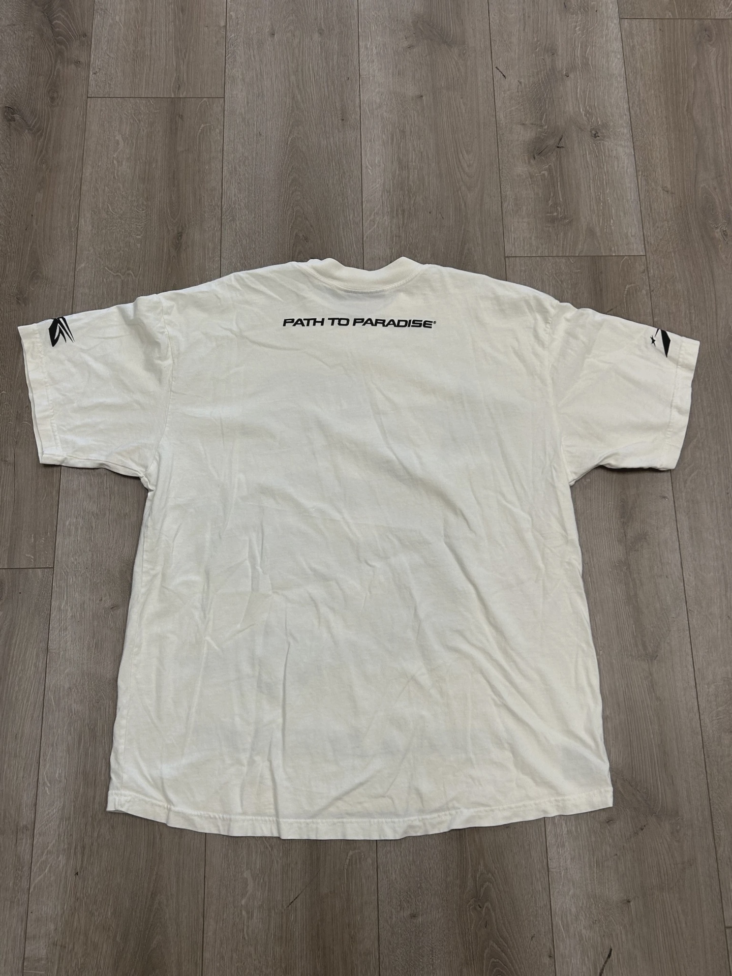 Hellstar Thorn Glitter T-Shirt • Pre-Owned [5175] 3