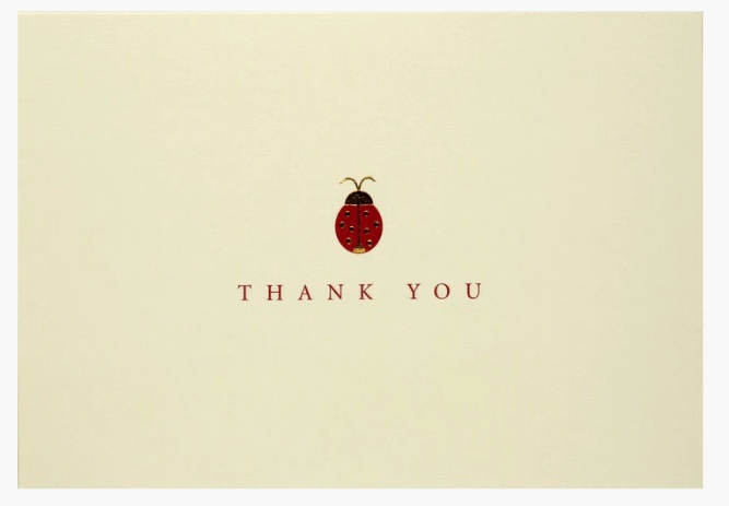 Peter Pauper - Thank you Notelets (D)