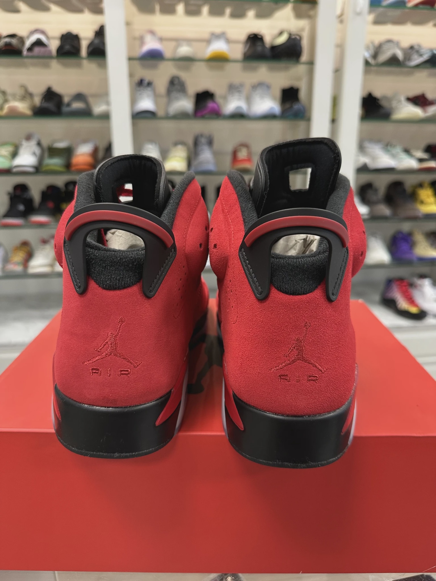 Air Jordan 6 Retro Toro Bravo • Pre-Owned [0702] 5
