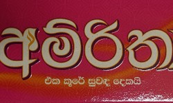 Amirtha Incense Sticks Purple Two in One  Floral 30g