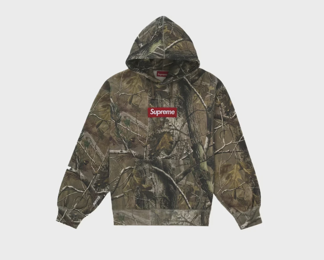 Supreme Box Logo Hooded Sweatshirt (FW25) Realtree AP Camo size L • Brand New [3043]