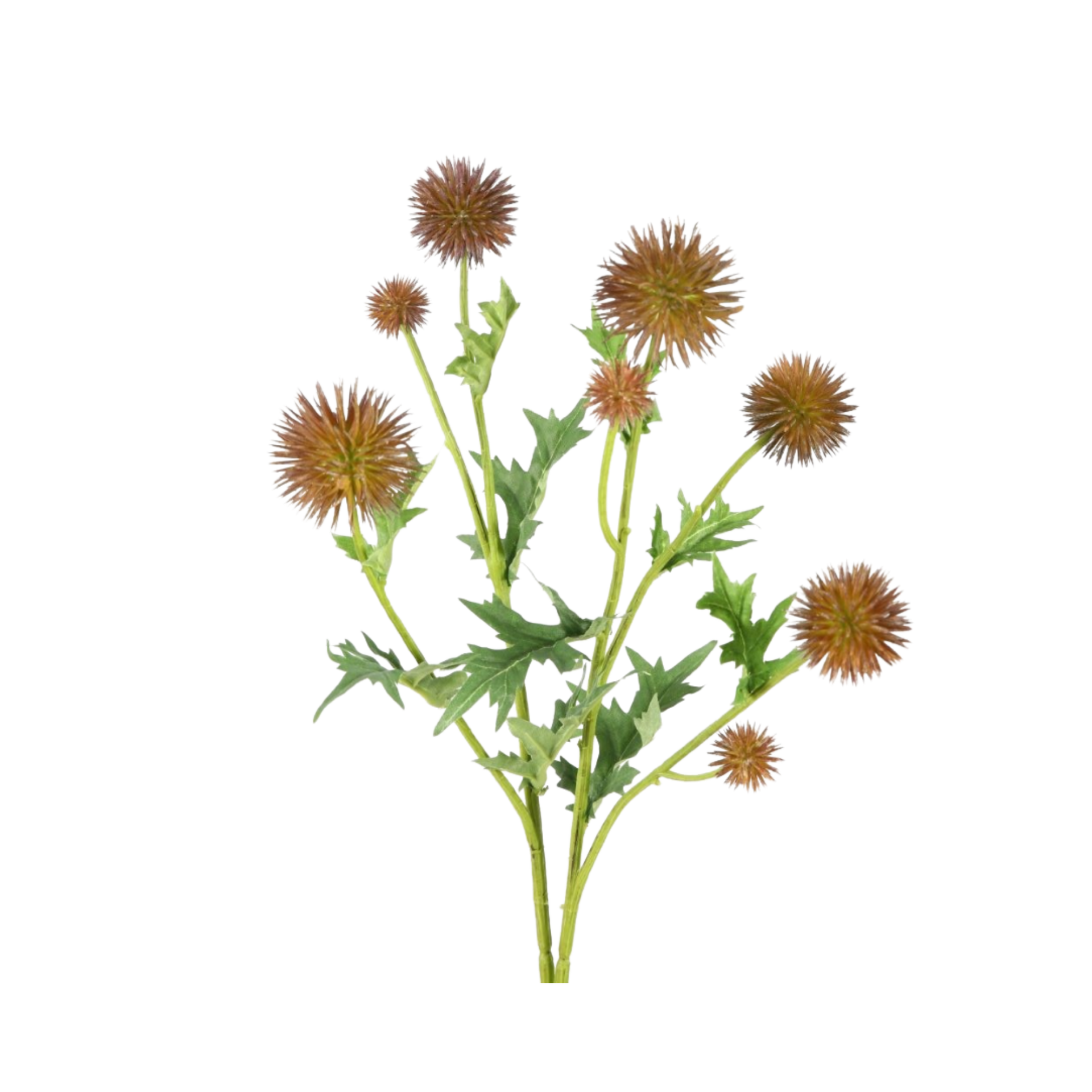 Thistle sphere — foto 1