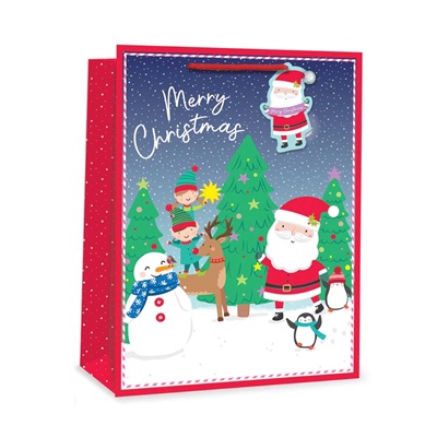 Festive Wonderland Everyday Gift Bags (D)