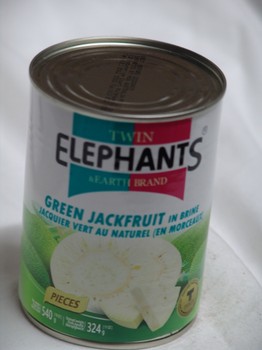 Twin Ele Green Jackfruit In Water 540g