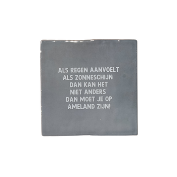 Tegel - Als regen aanvoelt als zonneschijn