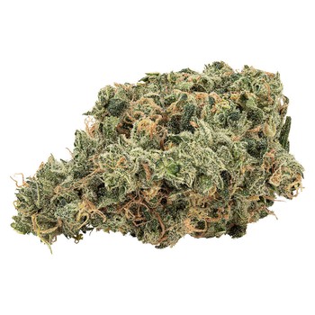 Ultra Jean-G Sativa / 7g / Sativa