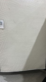 Bobby rug 55556 5x8 cream