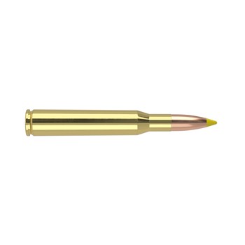 Nosler .270 Winchester 130gr Ballistic Tip 20 Rounds