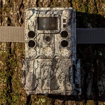 Bushnell 30MP Trail Cam CORE 4K Camo