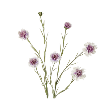 XL Cornflower spray paars