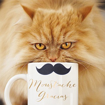 Ling Design - Cat With Moustache Card (D)