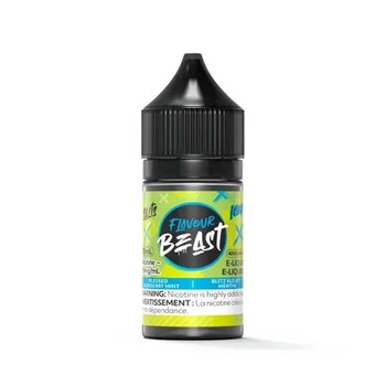 Flavour Beast - Blessed Blueberry Mint Iced 30ml Salt
