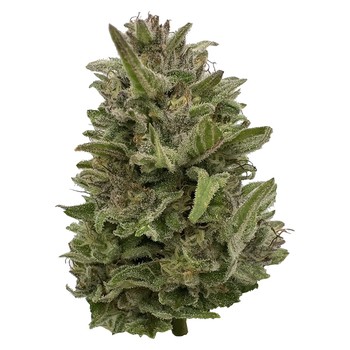 Pretty Chill Indica / 28g / Whole Flower / Indica