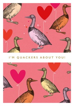 The Art File - Duck Quackers Valentine - NRV04A