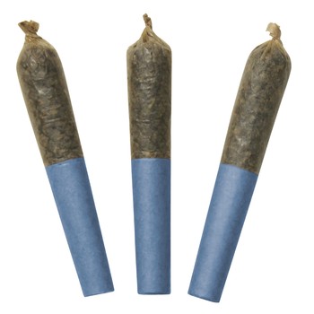 Blue Lobster 60's+ Dbl Infused (Pre-Roll) / 1.5g / Infused Pre-Rolls (3) / Hybrid