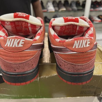 Nike SB Dunk Low Concepts Red Lobster • Pre-Owned [5599] - view 5