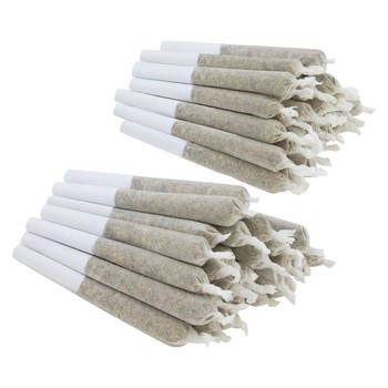 Shred Big Jar of Joints Tropic Thunder + Gnarberry (Pre-Roll) / 28g / Pre-Roll Packs (56) / Hybrid