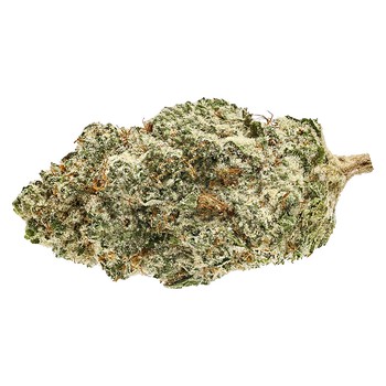 Soar Pineapple God / 7g / Whole Flower / Indica