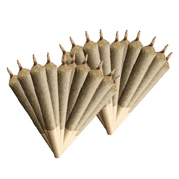 8g Pre Roll Packs Sativa