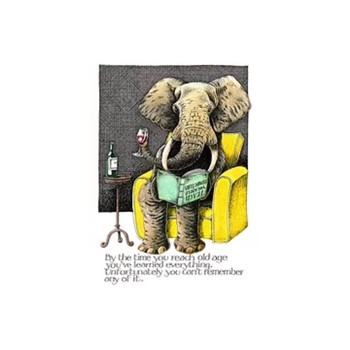 SIMON DREW CARD - OLD ELEPHANT