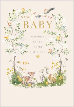 Abacus - New Baby Blossom And Animals - 14954