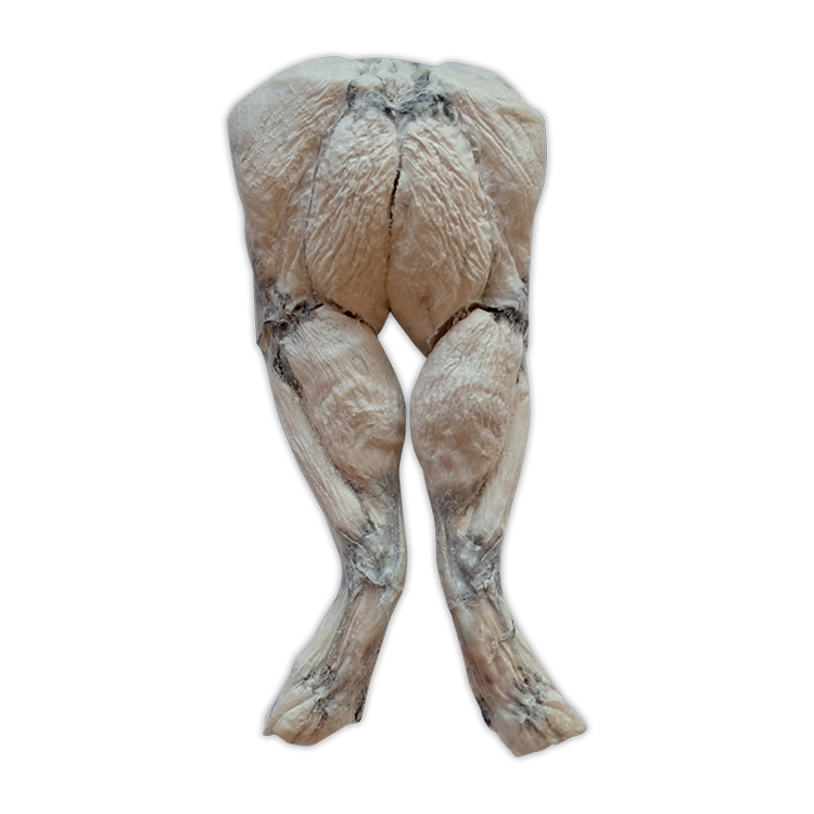 The Bones & Co - Freeze Dried Frog Leg
