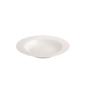 ARCTIC PORCELAIN SOUP/PASTA DISH - 23CM
