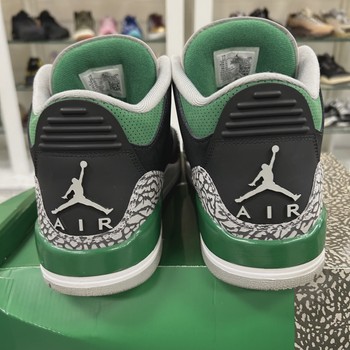 Air Jordan 3 Retro Pine Green • Pre-Owned [1978] - view 5