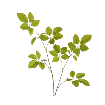 Schefflera Spray