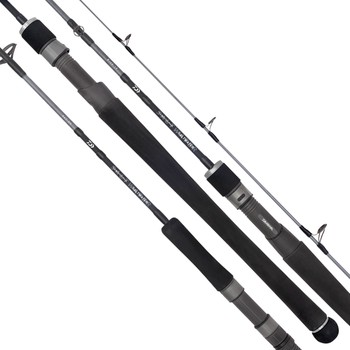 Daiwa TD Saltwater Rod