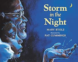 Storm in the Night