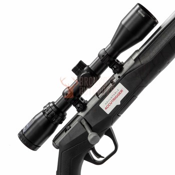 Savage B17 Stainless .17 Hornady Magnum Rimfire Rifle + 3-9x40 Scope + Suppressor