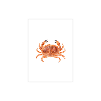 Plek kaartje wit · krab