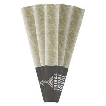 Tribal Gran Turismo (Pre-Roll) / 2.5g / Pre-Roll Packs (5) / Indica
