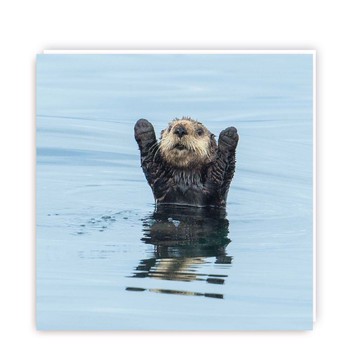 Tracks - Series MP - Blank - Otter in Water - Card Pack - MP034