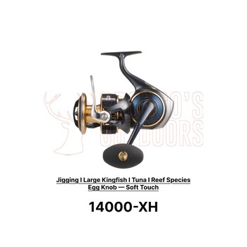Daiwa 25 Saltiga Reel